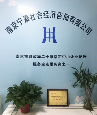 專業(yè)服務(wù)的助力者 南京寧豪社會(huì)經(jīng)濟(jì)咨詢的商業(yè)發(fā)展價(jià)值